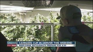 Cannabis Cup in Denver this weekend