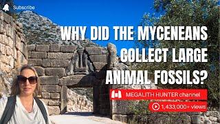 Why Did The MYCENEANS Collect Large Animal FOSSILS?