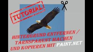 Tutorial    Hintergrund entfernen    Transparent machen und kopieren mit paint.net