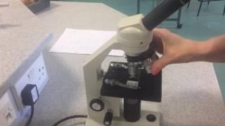9-1 GCSE Biology Required Practical 1 Pt 1 - Using a Light Microscope