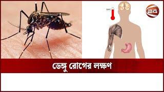 ডেঙ্গু হলে যেসব লক্ষণ প্রকাশ পেতে পারে  Dengue Symptoms  Channel 24