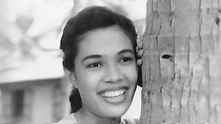 Taufan Typhoon  风雨珍珠岛 1957 a Malay village melodrama by Filipino director Teodorico C. Santos