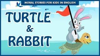 Turtle & Rabbit  Secret of Winning Together  Bedtime Stories  English Moral Stories Ted And Zoe