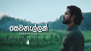 Vidula Ravishara - Sewanallak සෙවනැල්ලක් Official Visualizer