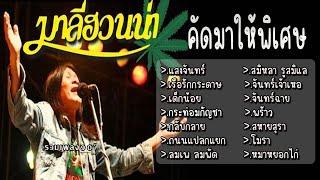 รวมเพลง มาลีฮวนน่า แสงจันทร์ เรือรักกระดาษ เด็กน้อย กระท่อมกัญชา ถนนแปลกแยก ลมเพ ลมพัด จันทร์เจ้าเหอ