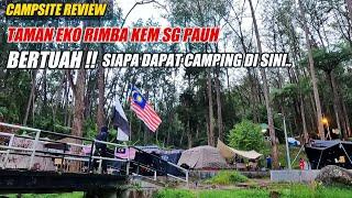 CAMPSITE REVIEW  TAMAN EKO RIMBA SG PAUH  Campsite Sejuk Terpaling Redup Di Cameron Highlands..