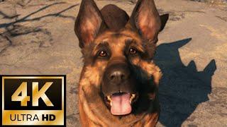 4K Fallout 4 Meet Dogmeat Next-Gen update on PS5