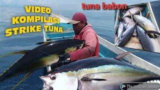 MANCING TUNA MONSTER TERCEPATAUTO PANENTRADITIONAL TUNA FISHING