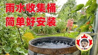 雨水收集桶 生活在北美 你值得拥有！