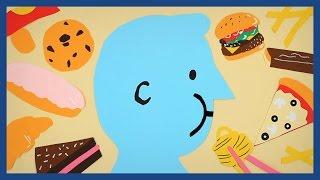Why are we all getting fat?  Guardian Animations