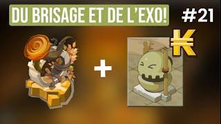 DU BRISAGE ET DES TENTA EXO  1M À 500M #21