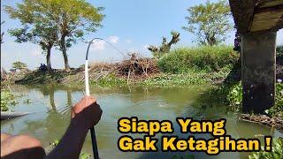 ASLI IKANYA BANYAK SEKALI ISINYA BABON-BABON  MEMEL MANCING