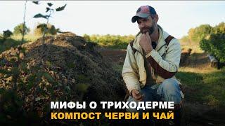 ЕСТЬ ЛИ ВРЕД ОГОРОДУ ОТ ТРИХОДЕРМЫ? Самые популярные мифы о триходерме.