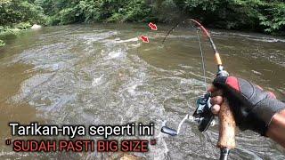 Ganas bukan main mancing umpan kepiting saat sungai mulai pasang Full strike