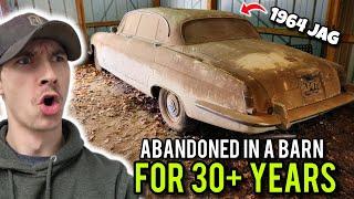 I Found a Classic Jaguar ABANDONED in a Barn For 30+ YEARS & Detailed It