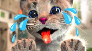 LEARNING LITTLE KITTEN ADVENTURE - CUTE LITTLE KITTEN AND SUPER FUN GAMES - CARTOON VIDEO FOR KIDS