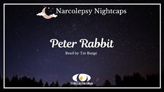 Narcolepsy Nightcaps The Tale of Peter Rabbit