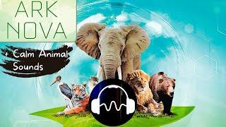  Ark Nova Soundtrack - Ambient Music for playing the Board Game Ark Nova with animal Sounds