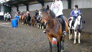 Horsepower Therapeutic Learning Center Equine Assisted