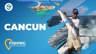 Fishing in Cancun All You Need to Know  FishingBooker