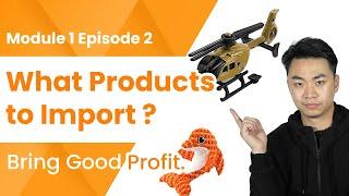 What Products to Import from China to Make Good Money? Module 1 Ep2