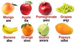 Fruits name in hindi and english with pictures  फलों के नाम हिन्दी एवं अंग्रेजी भाषा में