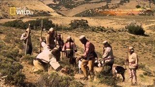 And Man Created dog  - National Geographic Documentary