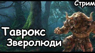 Таврокс Медный Бык. Легенда. ч.1  Total War Warhammer 3.