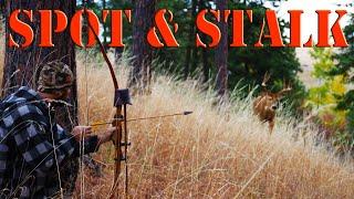 Recurve Bow Hunting - Public Land Bowhunting from the GROUND