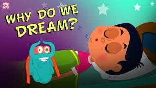 Why Do We Dream?  The Dr. Binocs Show  Best Learning Videos For Kids  Peekaboo Kidz