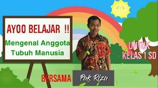 Mengenal Anggota Tubuh Manusia