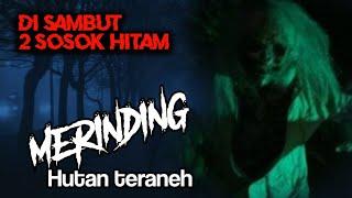 Serem Banget Trabasan Malam Di Hutan terangker Disapa Hantu