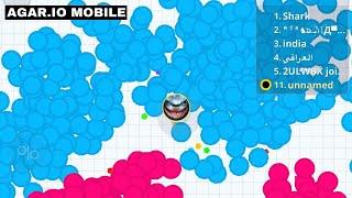 SOLO 70% AGAR.IO MOBILE