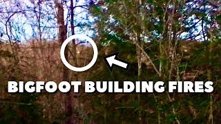 Does This Footage Prove Bigfoot Can Start Forest Fires?  Suspenseful Sasquatch Encounter on Camera