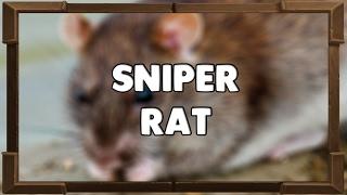 The Sniper Rat