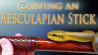 Carving an Aesculapian Snake Walking Stick