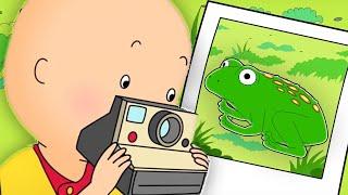 Caillou und die Tierfotos  Caillou auf Deutsch