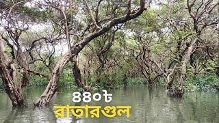 Ratargul swamp forest sylhet  রাতারগুল জলাবন  Episode 04  Ratargul Sylhet