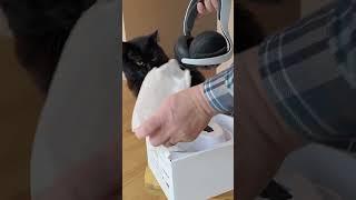 #PlayStation #PulseElite #Headset #Unboxing with Mia the #Cat