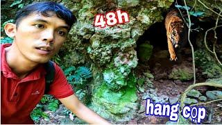 CHẠY Đi  HỔ Rừng  Đã Từng Ở Đây ? 48H Sinh Tồn 1 Mình Trên Đồi Hang CỌP