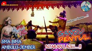 GANDU PENTUL II NJARAN LAGI