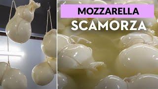 Making Scamorza  Italian Food  Kitchen Tales