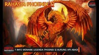 RAHASIA DAN 7 INFO MENARIK LEGENDA PHOENIX SI MAKHLUK MITOLOGI BURUNG API ABADI