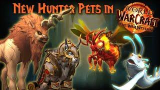 The War Withins NEW HUNTER PETS are AMAZING