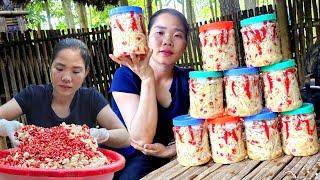 Single mother harvests bamboo shoots to make chili bamboo shoots a wonderful spice That nature gives