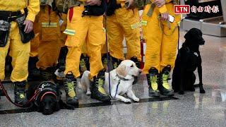 搜救犬集合！消防署人道救援包機演練 美日觀摩給建議