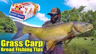 Monster Mikes Carp Fishing Secrets  How to Catch BIG Grass Carp