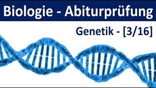 Biologie Abiturprüfung - Genetik - Tipps und Aufgabentypen Abitur Biologie 316