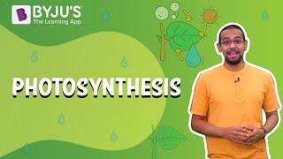 Photosynthesis- How Plants Make Food  Learn with BYJU’S