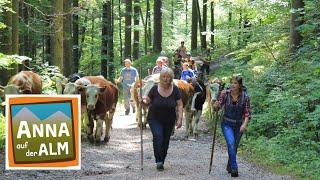 Das Abenteuer beginnt  Reportage für Kinder  Anna auf der Alm  #1